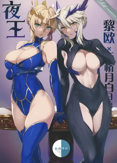 同人漫画：夜王 (FGO)